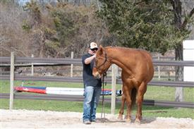 LR-WRF 0402026 Retreat-3263